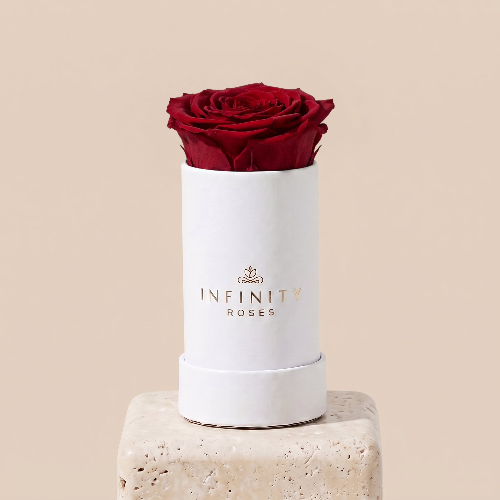 Official Infinity Roses - Forever Roses That Last A Year Delivered